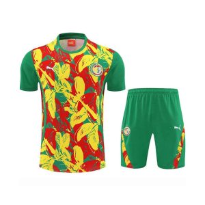 Ensemble Training Senegal 2025/2026