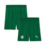 Short Palmeiras Domicile 2026/2027