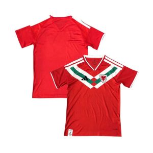Maillot Pays de Galles 2026/2027