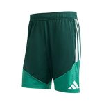 Short Training Algeria 2026/2027 Vert